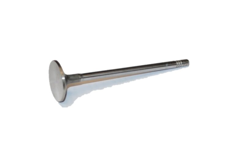 Exhaust Valve 504081062