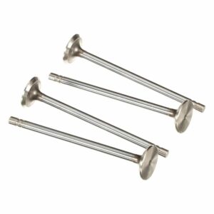 504387778 intake valve F5