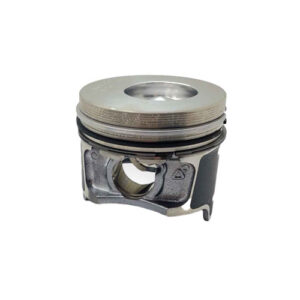 PISTON ASSY +0.2MM ED0065025900-S