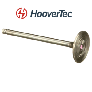 4895187 NEF intake valve