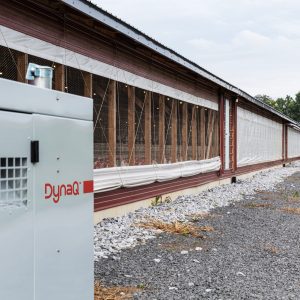 Stand-by generator for Poultry House